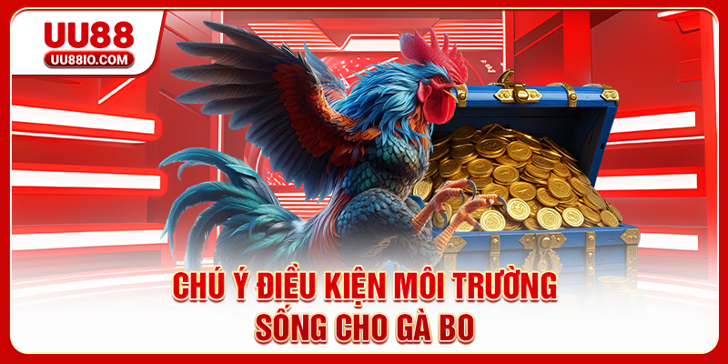 Chú ý điều kiện môi trường sống cho gà bo